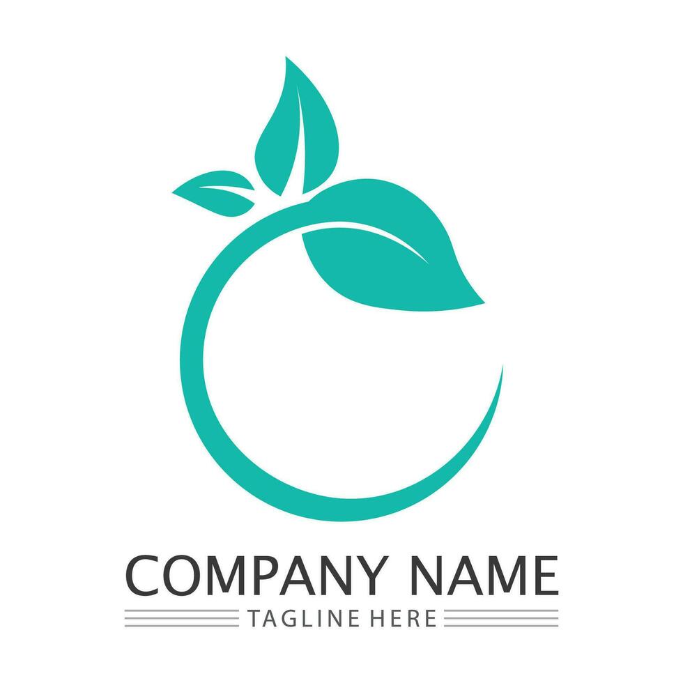 Eco Energy Vector Logo with leaf symbol. Green color with flash or thunder graphic. Nature and electricity renewable. This logo is suitable for technology, recycle, organic.