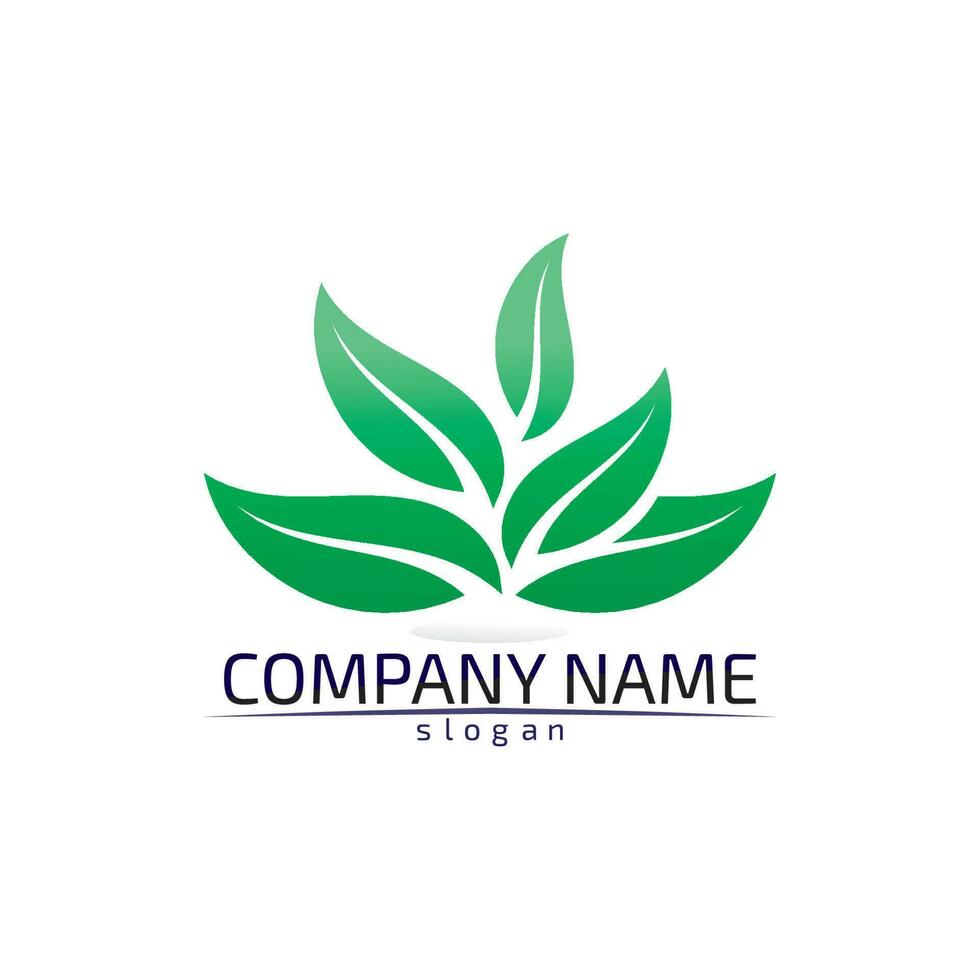 Tree leaf vector design eco friendly concept logo