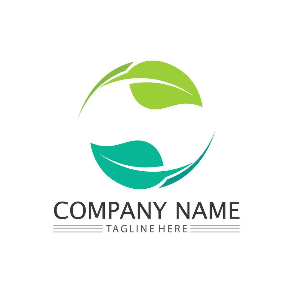 Tree logo icon vector illustration design.Vector silhouette of a tree templates of tree logo and roots  tree of life design illustration