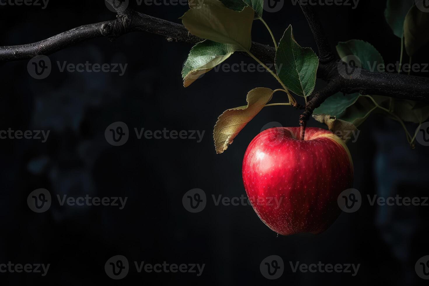 Apple fruit aesthetic photo