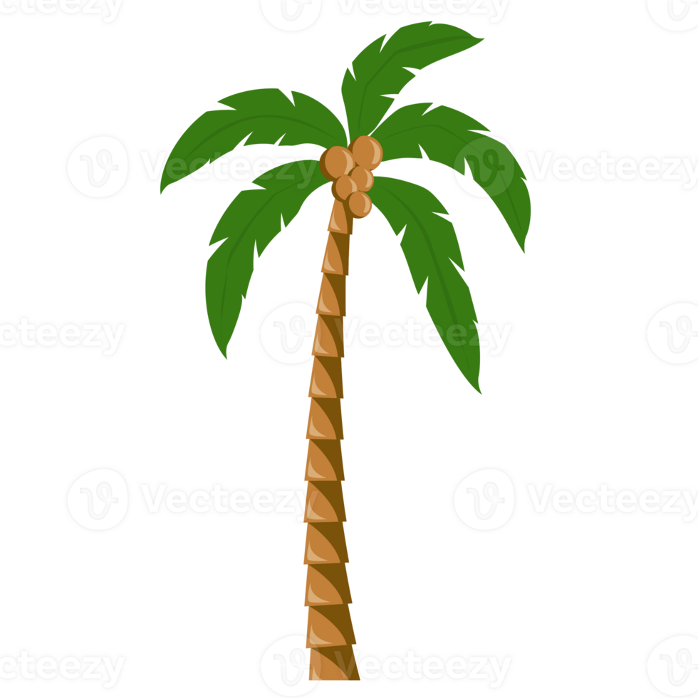 tropical palm tree design element png