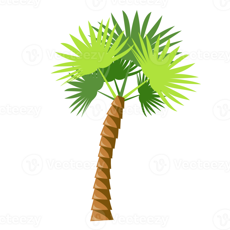 decorative palm trees icons png