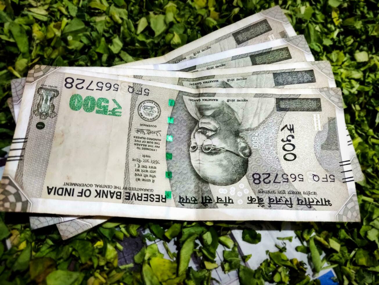 Indian 500 Rupees notes on green background photo
