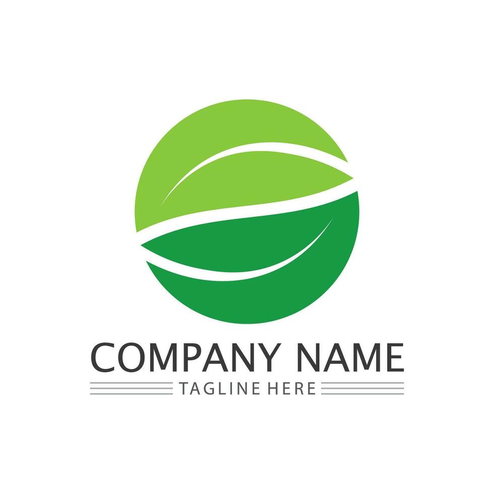 Tree logo icon vector illustration design.Vector silhouette of a tree templates of tree logo and roots  tree of life design illustration