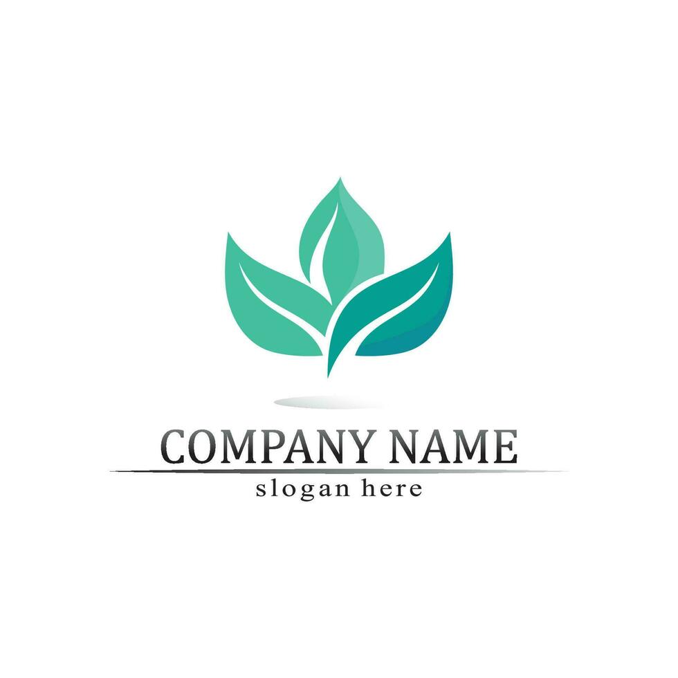 Tree leaf vector and green logo design friendly concept