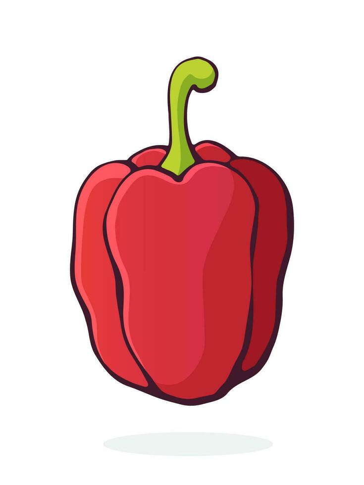 Cartoon illustration of red bell pepper or paprika with a stem vector
