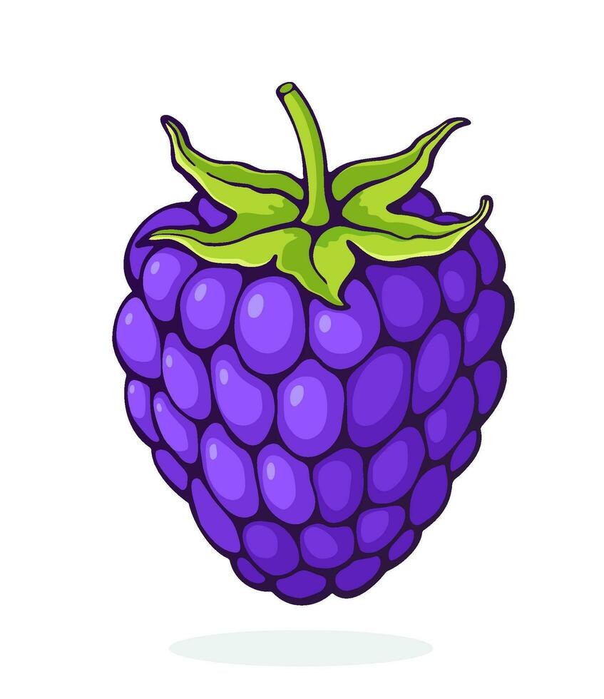 Cartoon illustration of blackberry fruit with stem. Healthy diet and vegetarian food vector