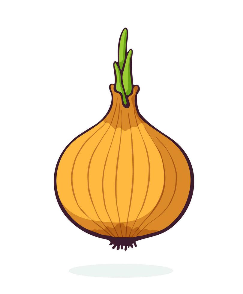 Cartoon illustration of bulb of yellow onion with green sprout. Healthy vegetarian food. Ingredient for salad vector