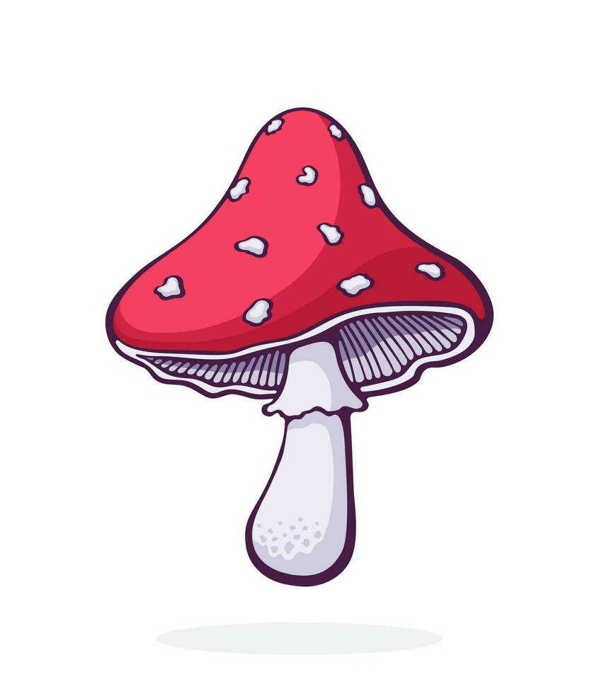 Cartoon illustration. Amanita mushroom with a red spotted hat. Poisonous toadstool fly agaric. Graphic design with contour. Clip-art print for packaging. Isolated on white background vector