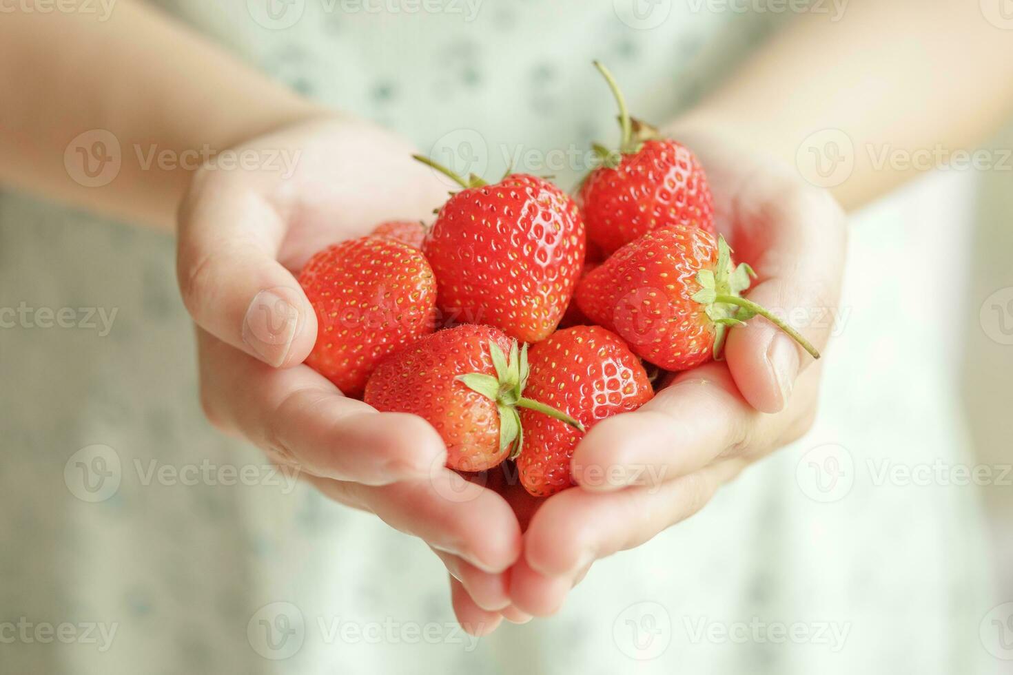 mujer manos participación Fresco rojo fresas cerca arriba foto