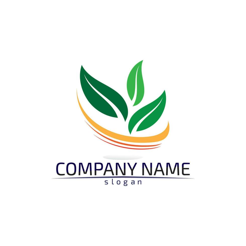 Tree leaf vector design eco friendly concept logo