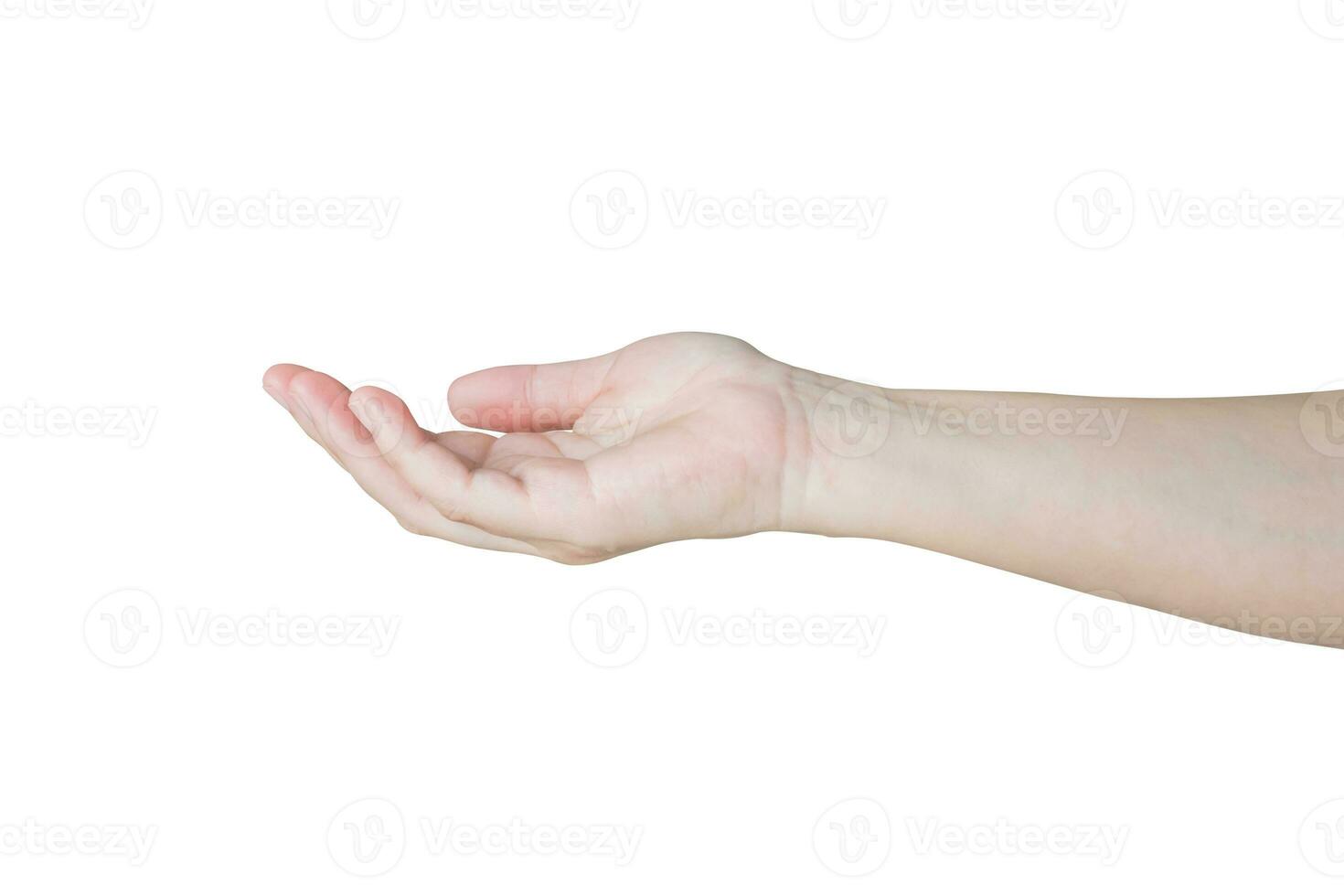 Woman hand gesture holding something isolated on white background photo