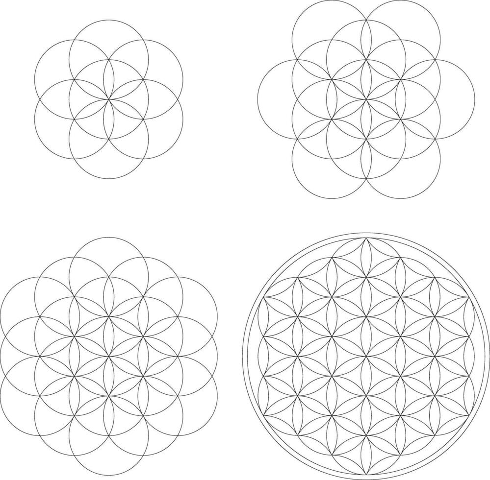 Set of geometrical elements and shapes. Sacred Geometry Flower of Life development. Vector designs
