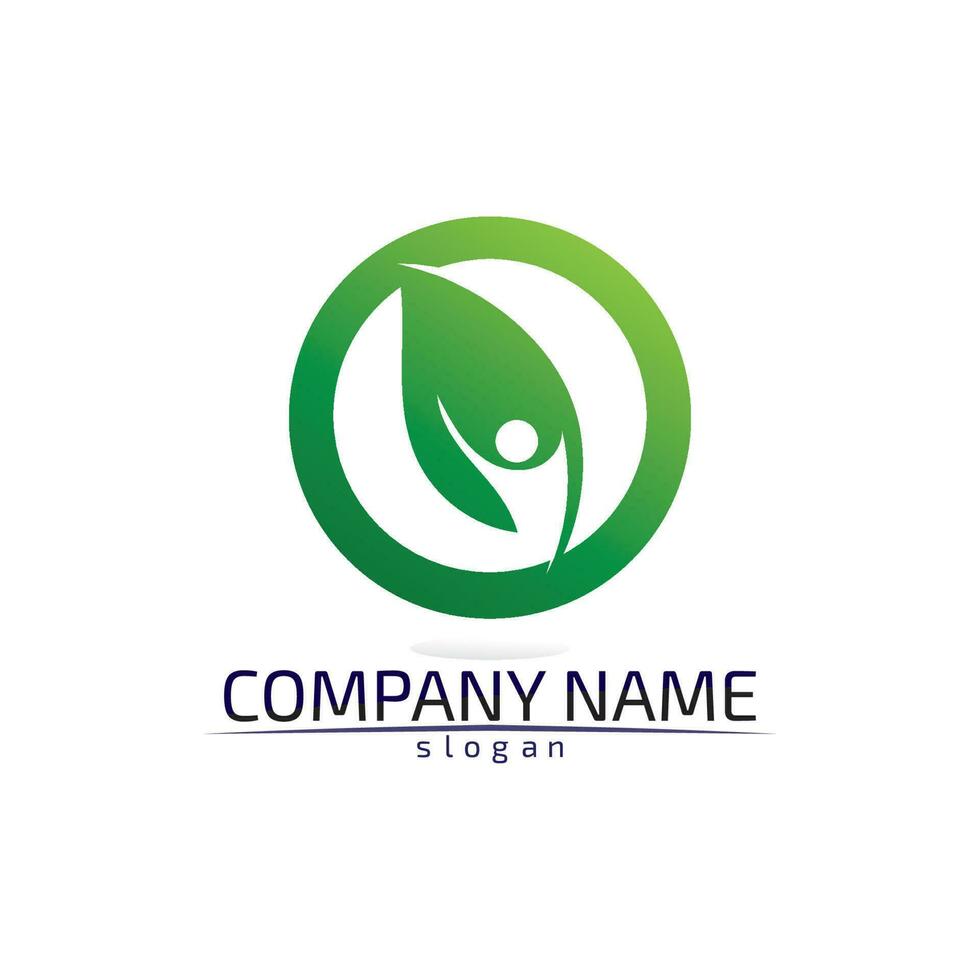 Tree leaf vector design eco friendly concept logo