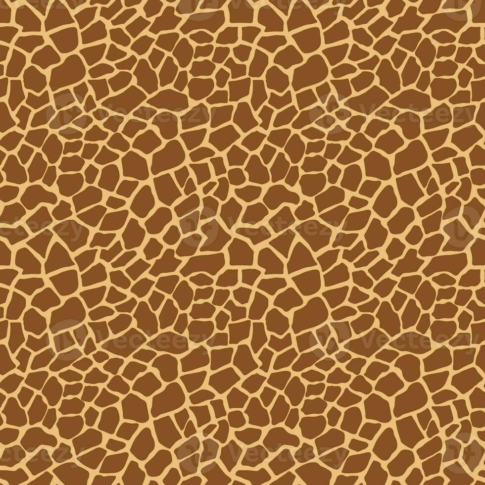 Seamless Pattern Design Digital Paper photo