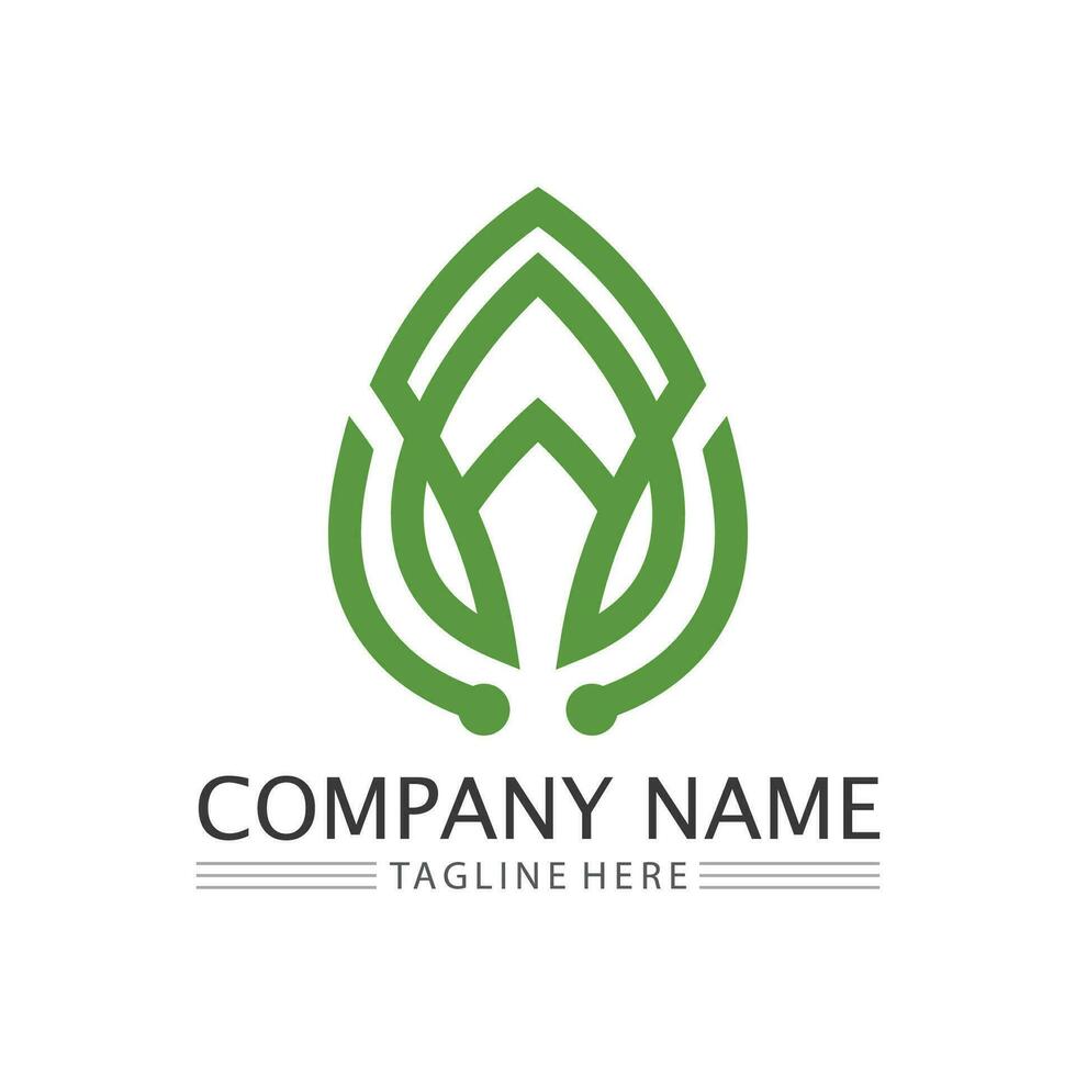 Eco Energy Vector Logo with leaf symbol. Green color with flash or thunder graphic. Nature and electricity renewable. This logo is suitable for technology, recycle, organic.