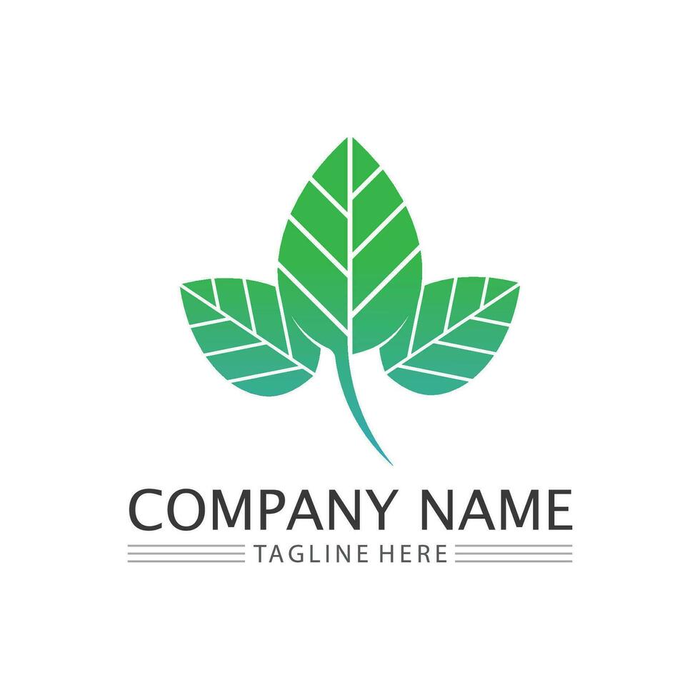 Tree logo icon vector illustration design.Vector silhouette of a tree templates of tree logo and roots  tree of life design illustration