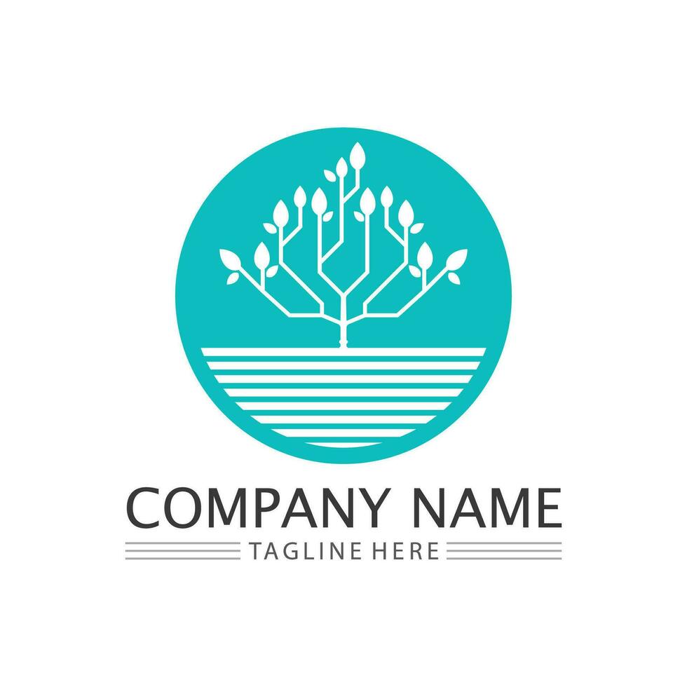 Tree logo icon vector illustration design.Vector silhouette of a tree templates of tree logo and roots  tree of life design illustration