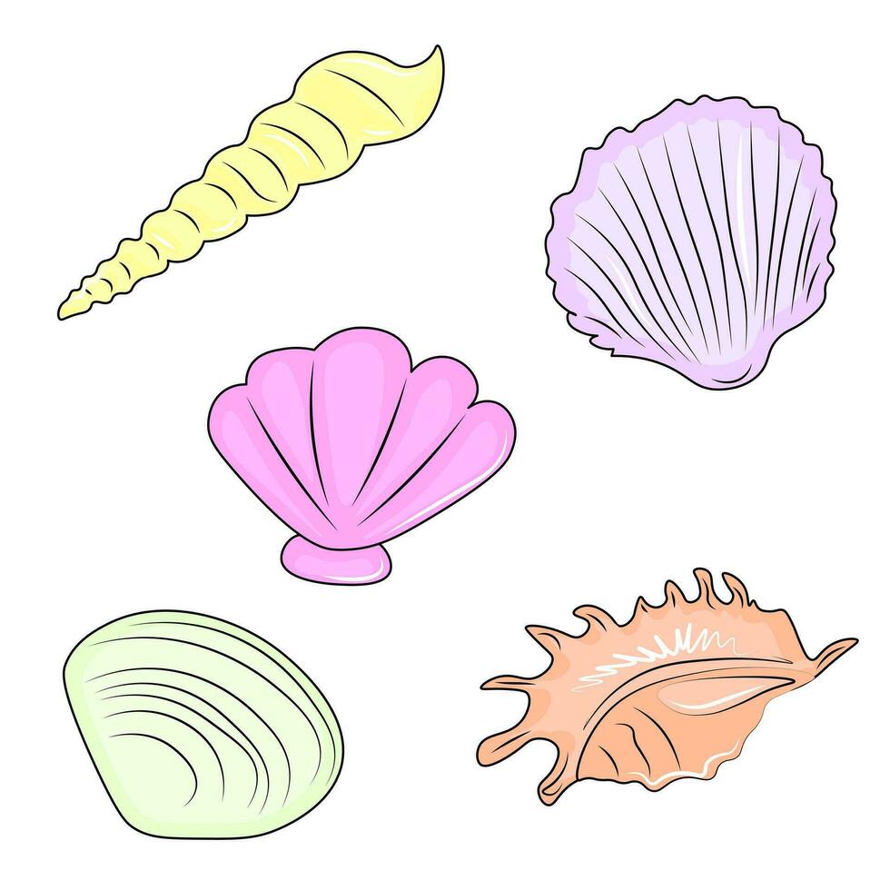 set of seashells on white background vector