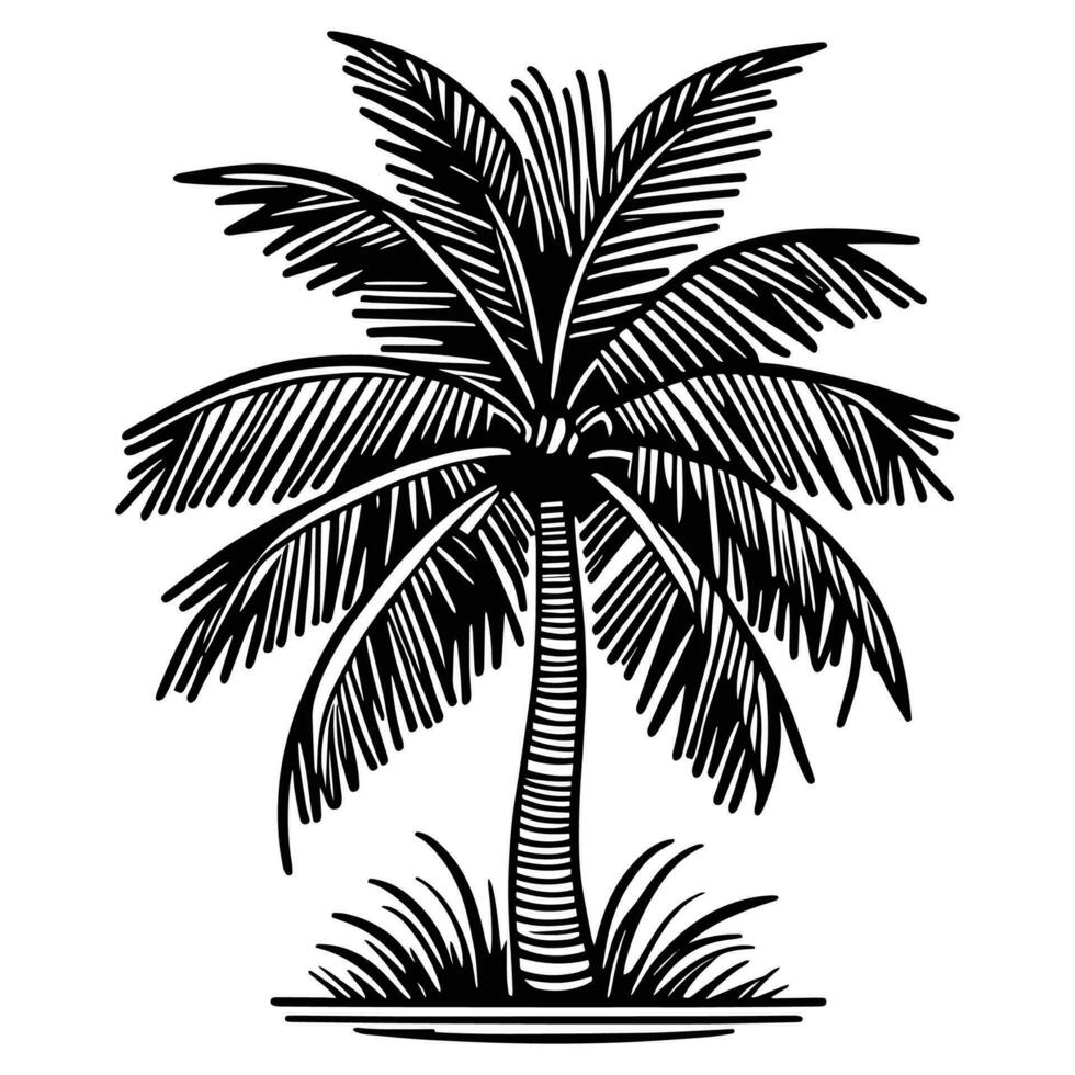 esta es un Coco árbol vector silueta, Coco árbol línea Arte vector negro y blanco.