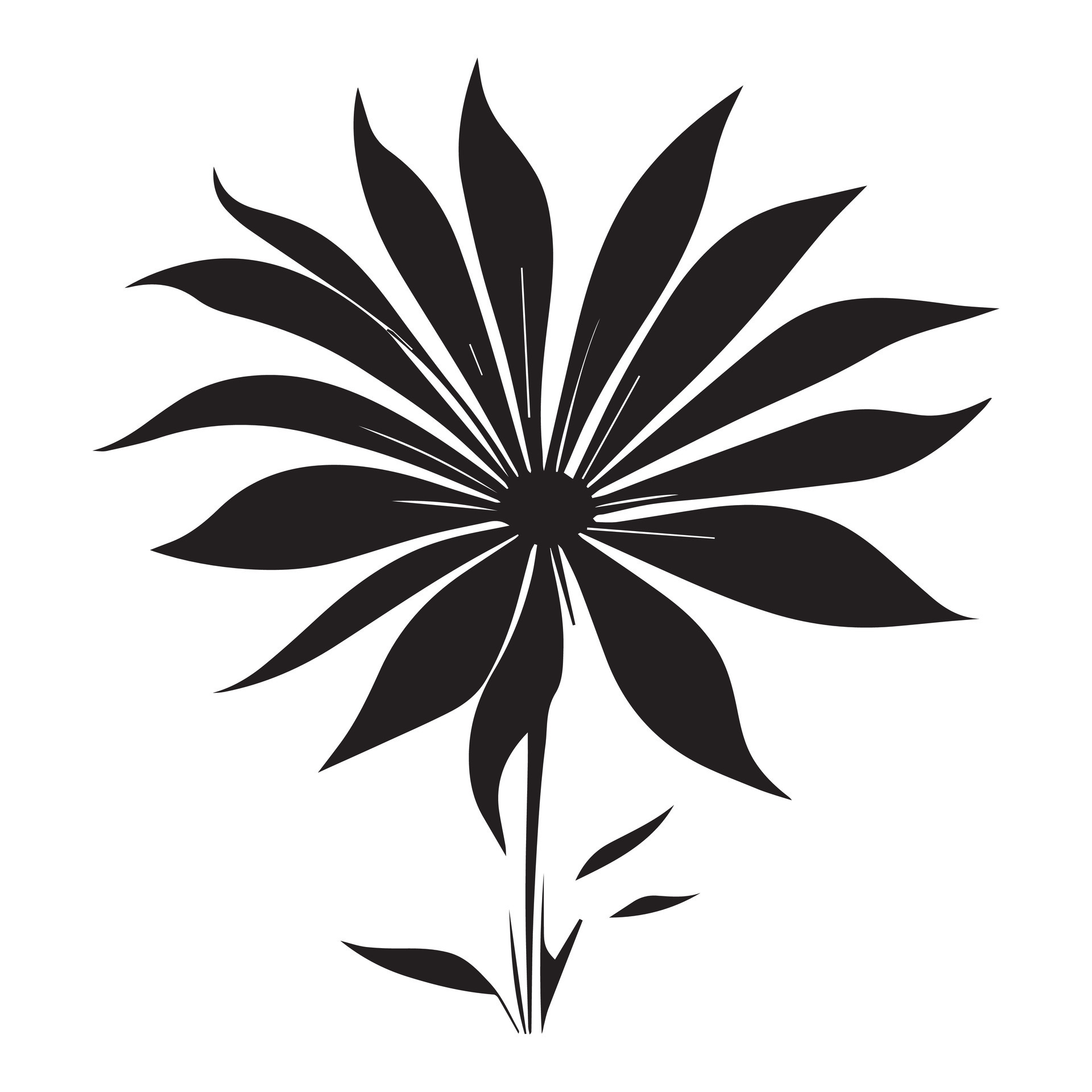 Flower Design Vector Illustration black color 24741289 Vector Art at