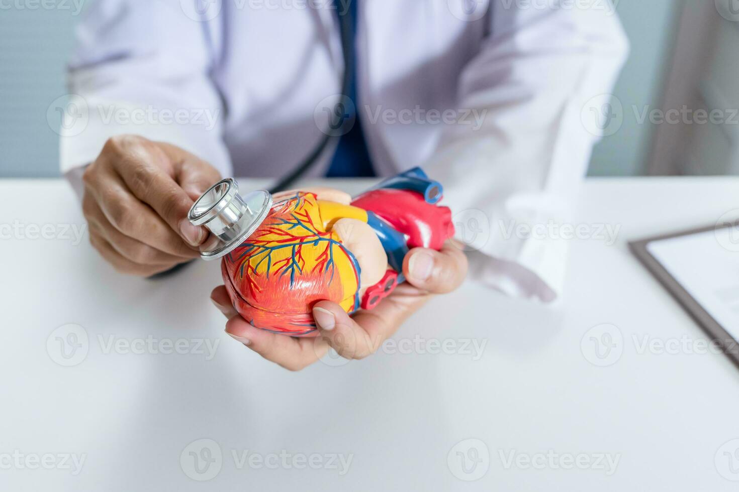Doctor with anatomical model of human heart Cardiologist supports the heart. heart diagnose medical checkup cardiologist in examination room photo
