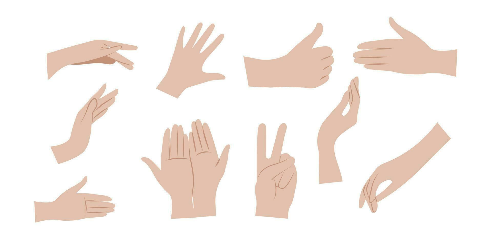 manos gestos colocar. humano manos con diferente gestos vector ilustración