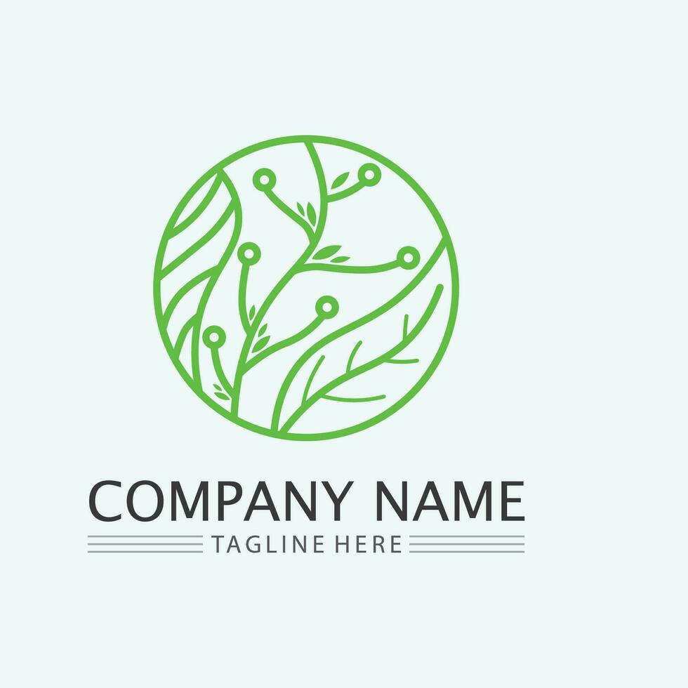 leaf logo design vector for nature symbol template editable,Green leaf logo ecology nature element vector icon.