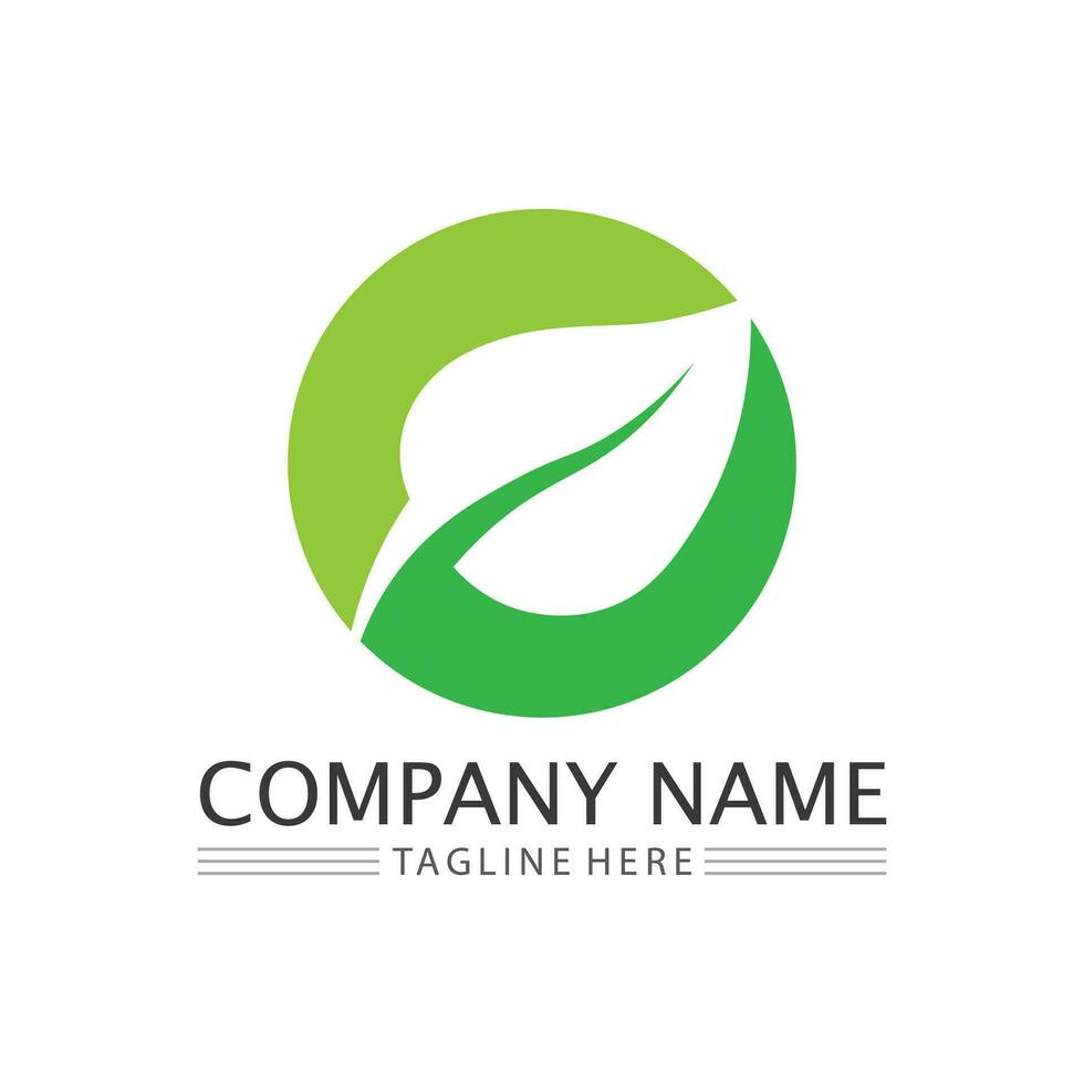 Tree logo icon vector illustration design.Vector silhouette of a tree templates of tree logo and roots  tree of life design illustration