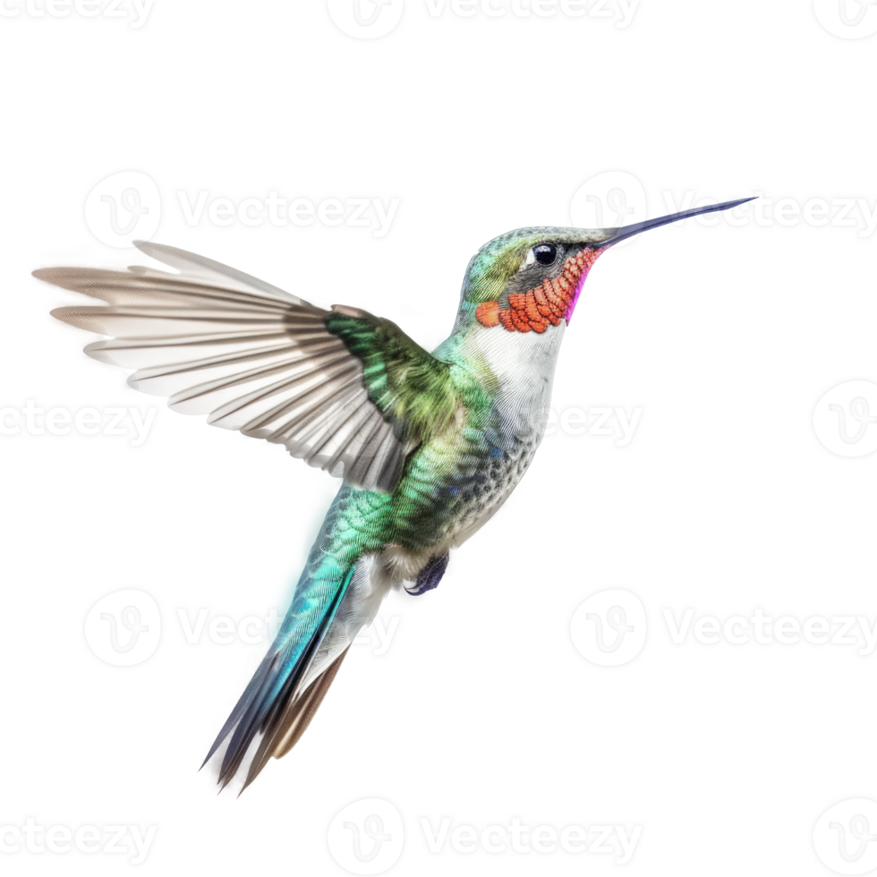 Blue vivid Broad Billed Hummingbird isolated. Illustration AI Generative png