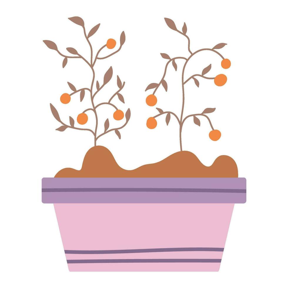 gardening oranges tree icon isolated vector