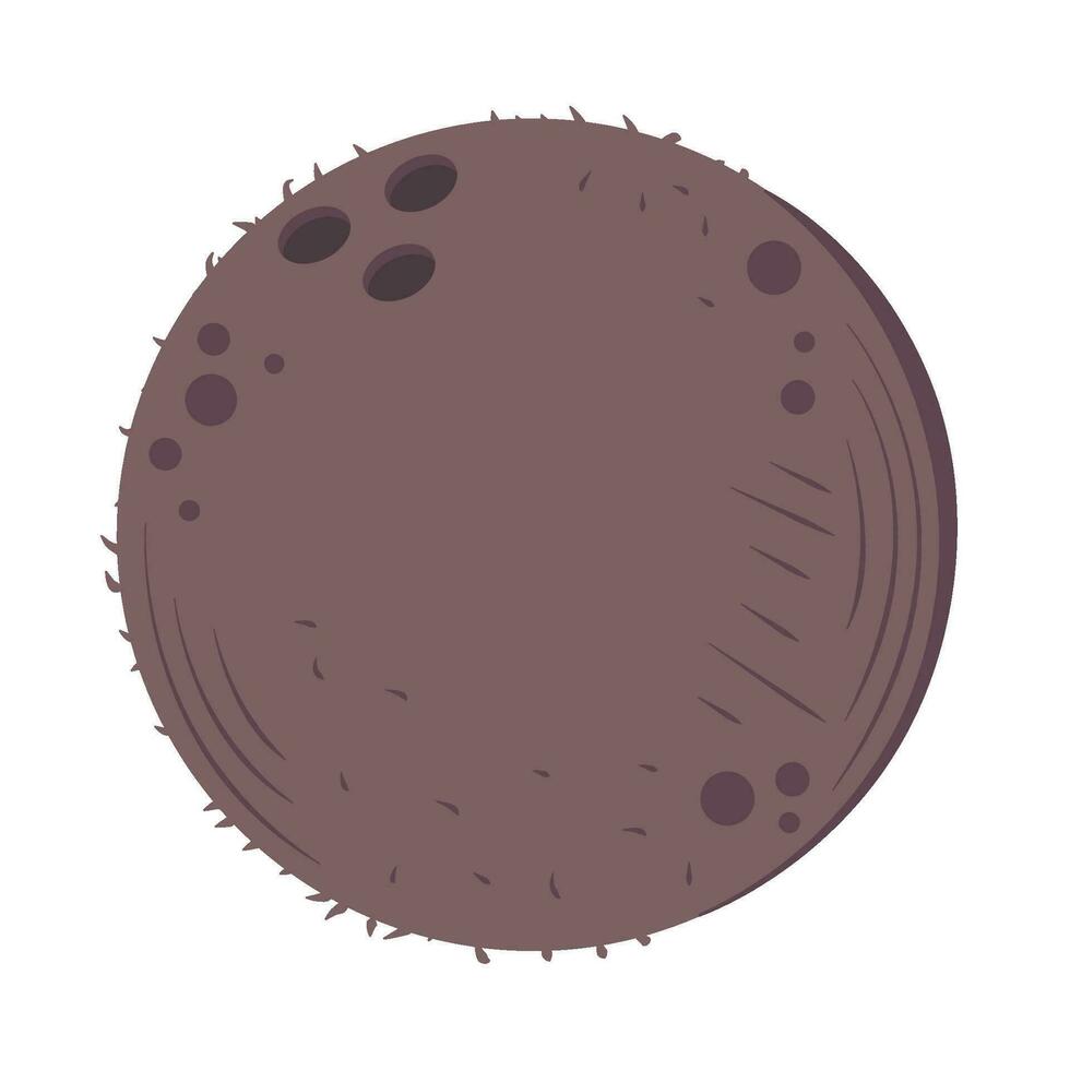 fresh fruit coconut icon isolated vector