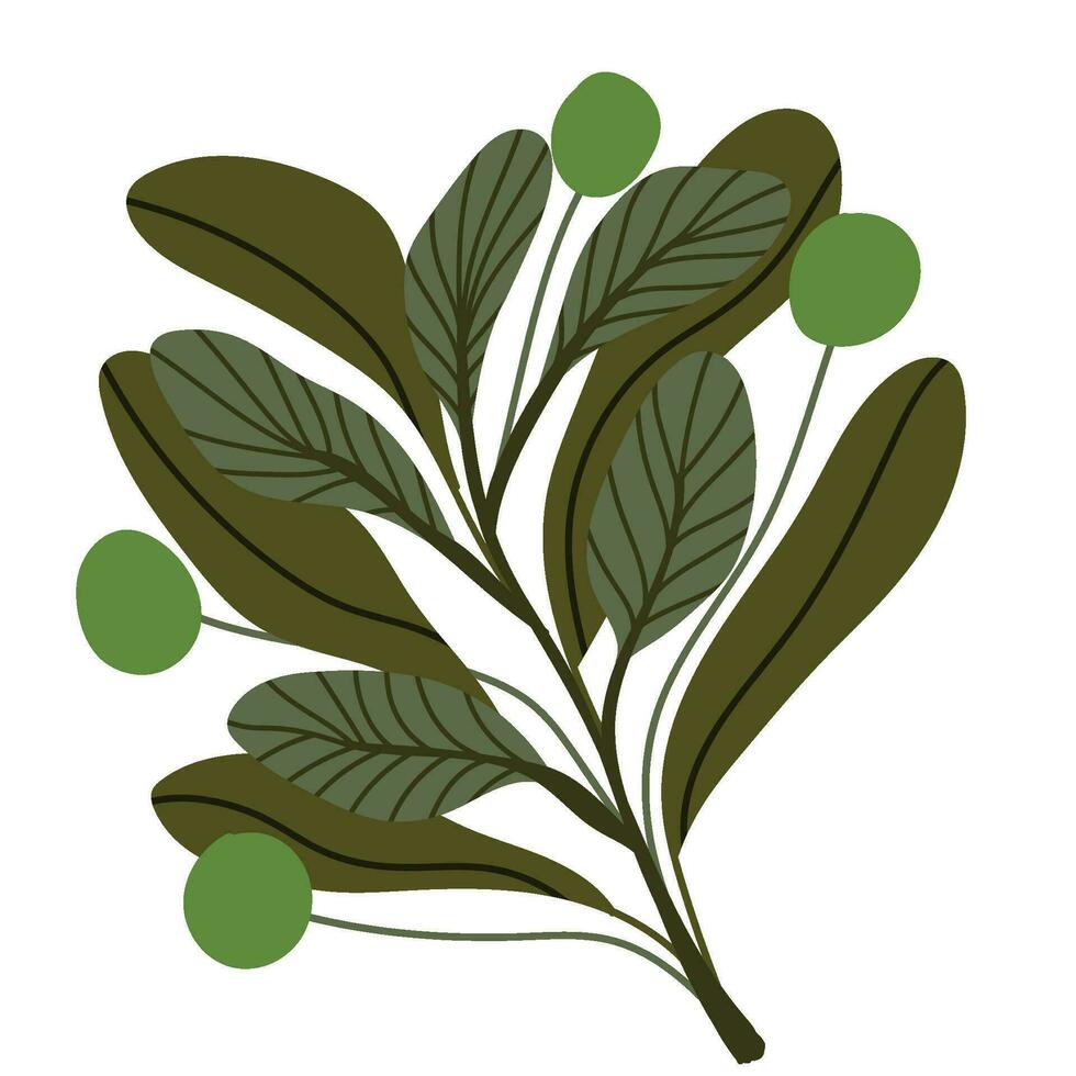 plant leaves gardening icon isolated vector