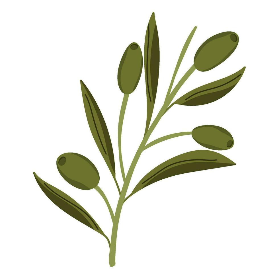 branch leaves of Olives icon isolated vector