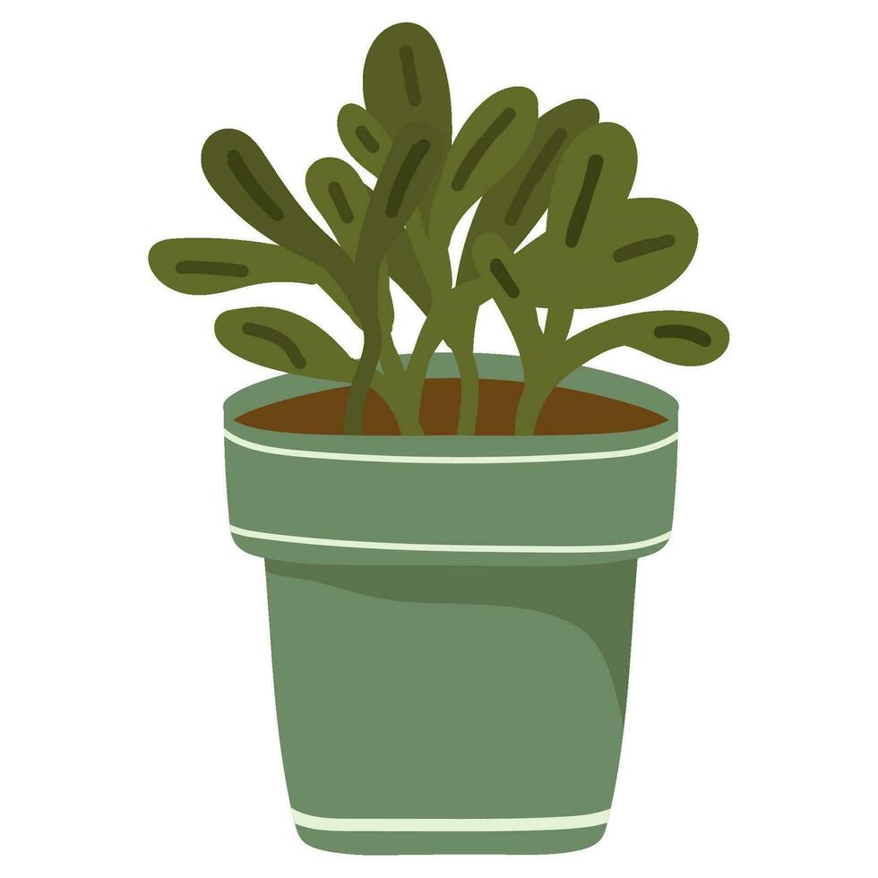 houseplant icon isolated white background vector
