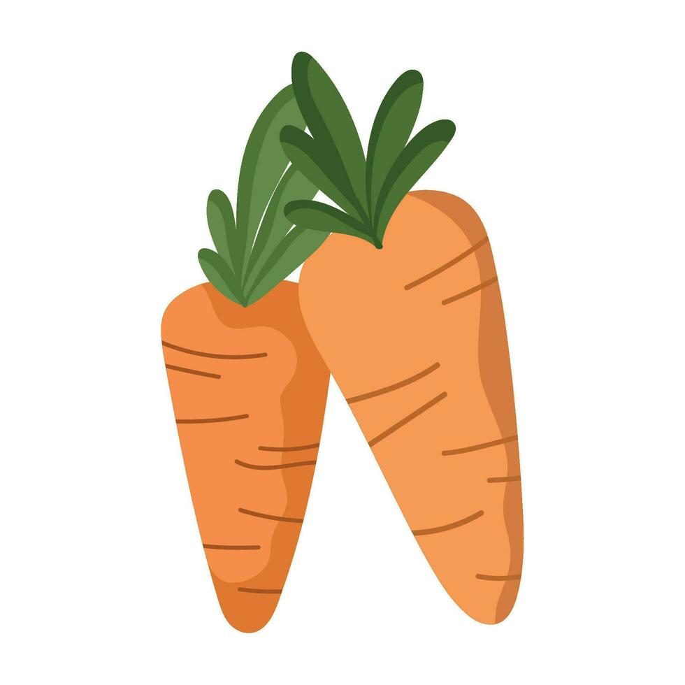 carrots icon isolated white background vector