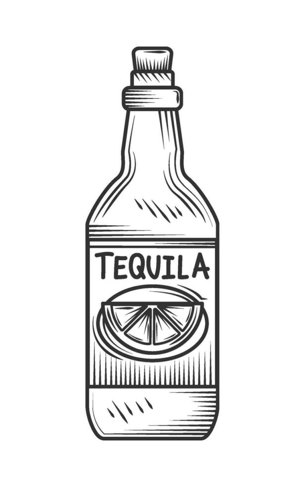 drink bottle of tequila icon isolated vector