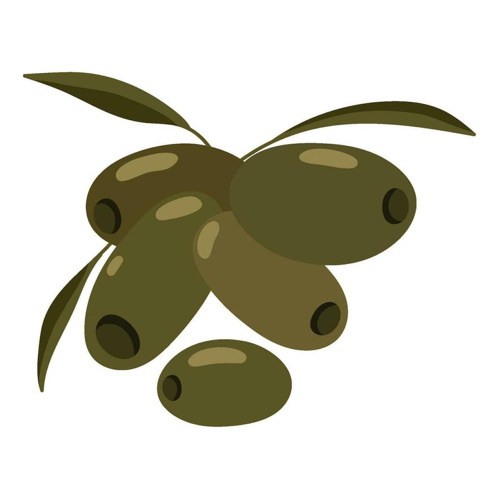 orgánico y Fresco aceituna icono aislado vector