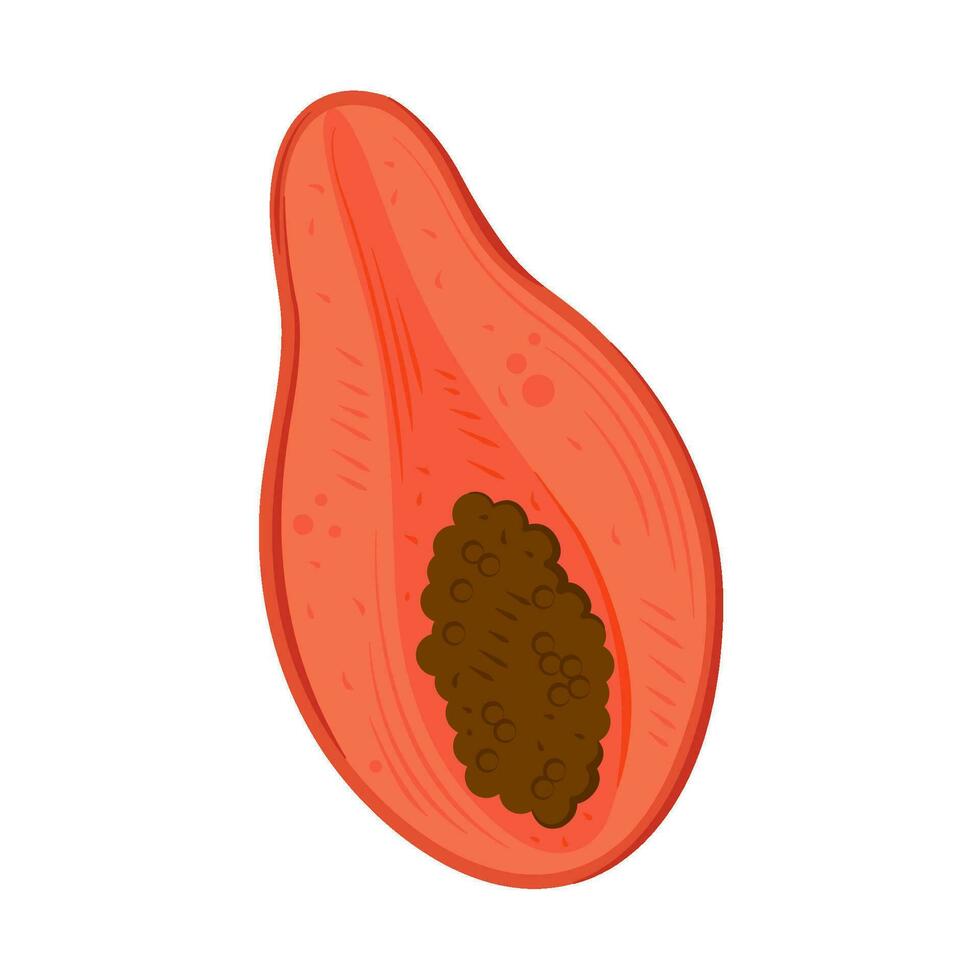 jugoso papaya rebanada icono aislado vector