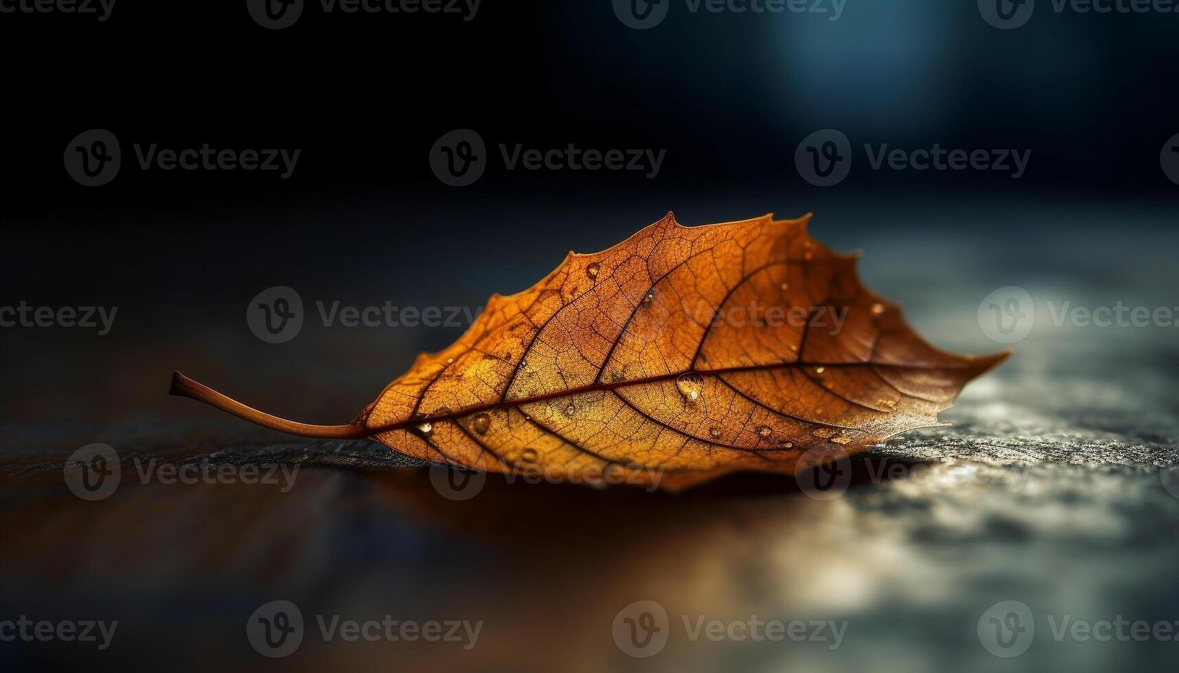 Vibrant autumn maple leaves falling on wet forest floor, beautiful generated by AI photo