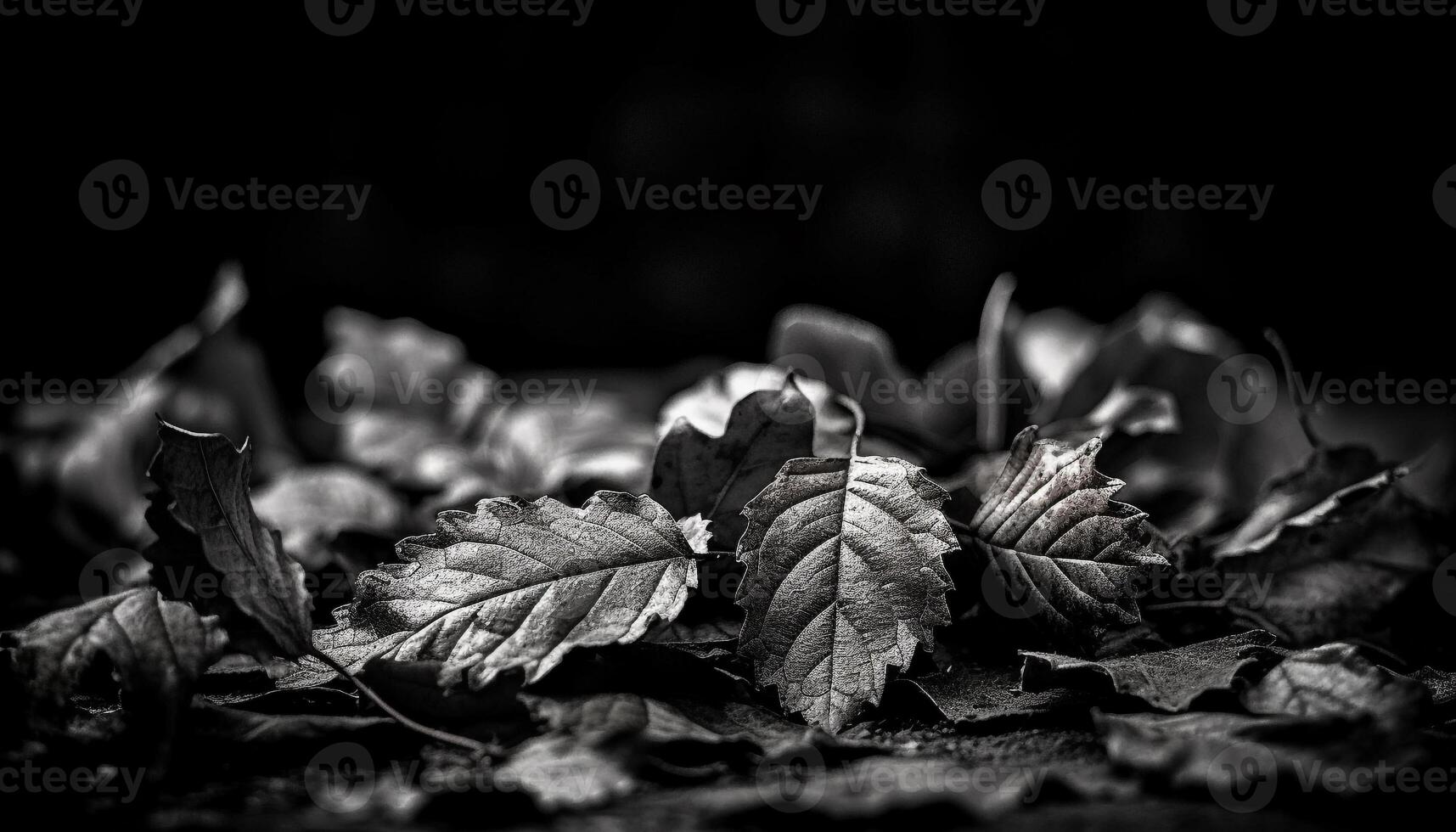 Freshness of autumn leaves in macro, black and white abstract generated by AI photo