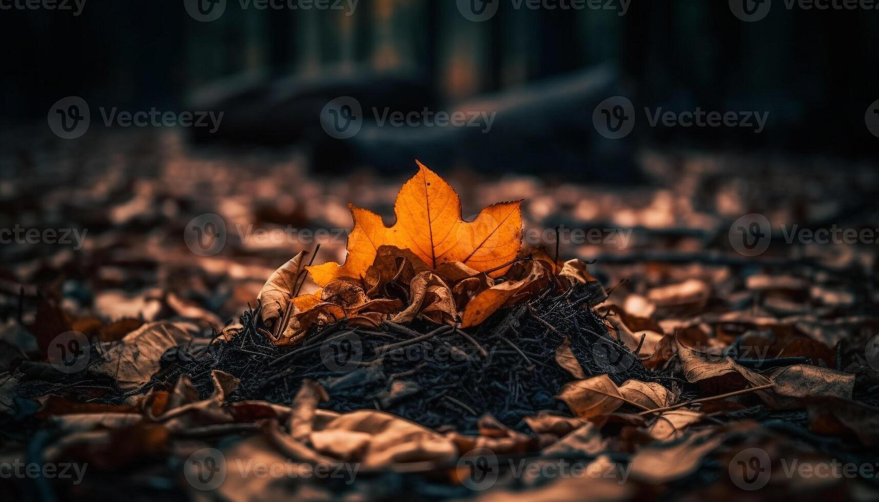 vibrante arce hojas descendente, un ardiente otoño paisaje en noviembre generado por ai foto