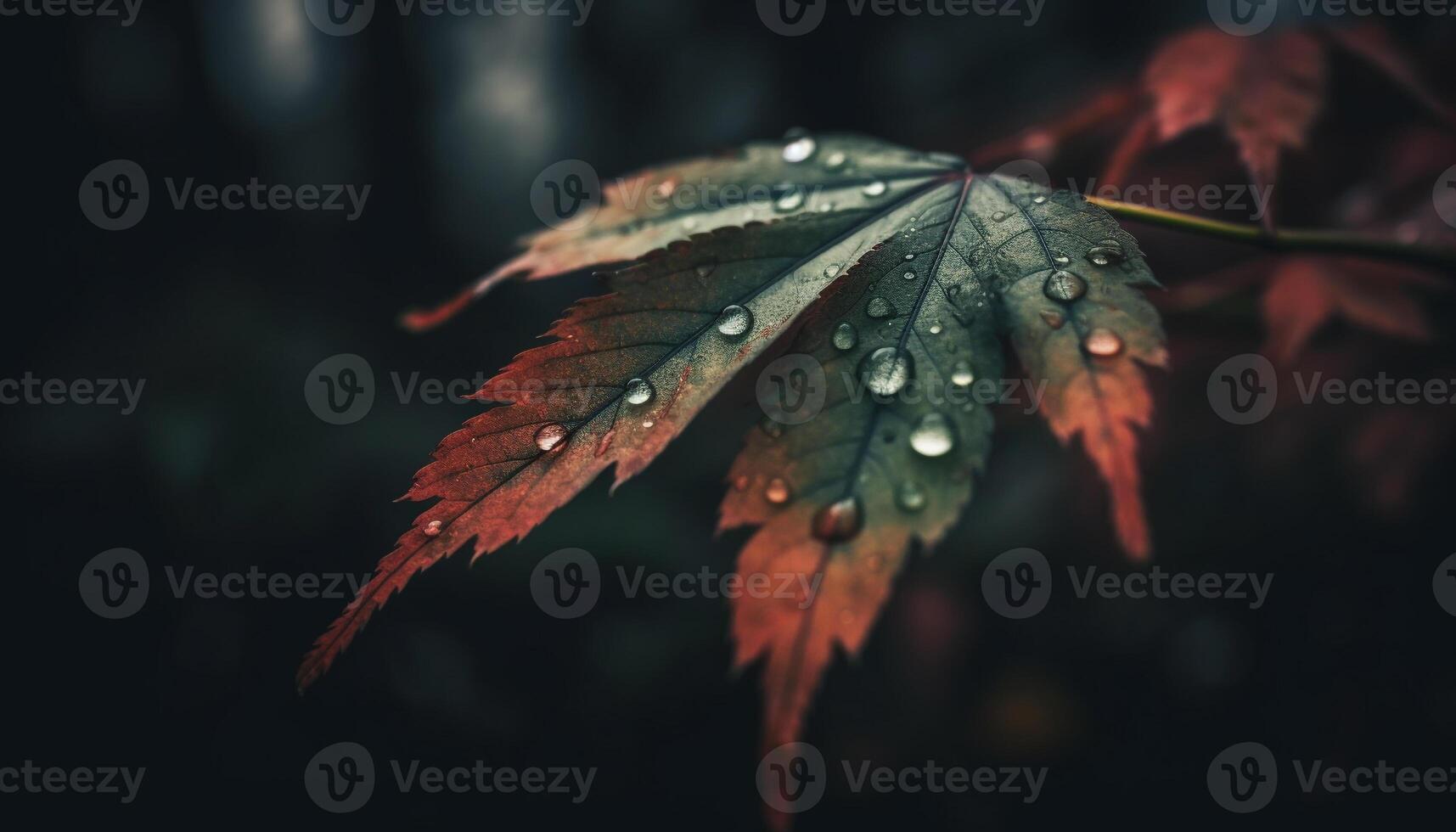 Autumn dew drops on green leaf, nature tranquil beauty shines generated by AI photo