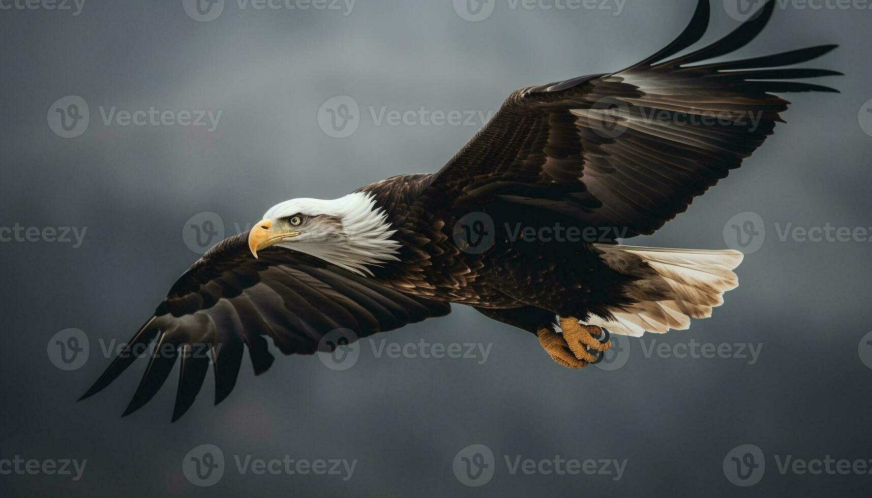 majestuoso calvo águila, símbolo de americano cultura, altísimo en libertad generado por ai foto