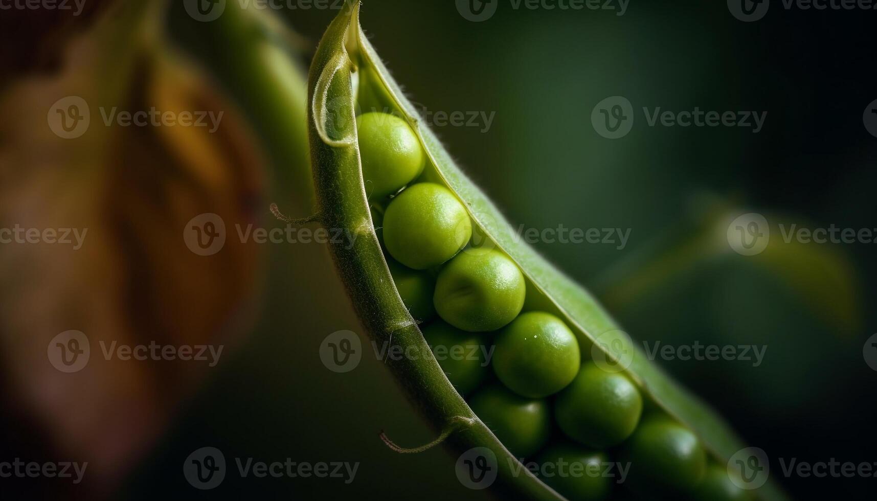 Ripe green pea, a macro view of organic agriculture growth generated by AI photo