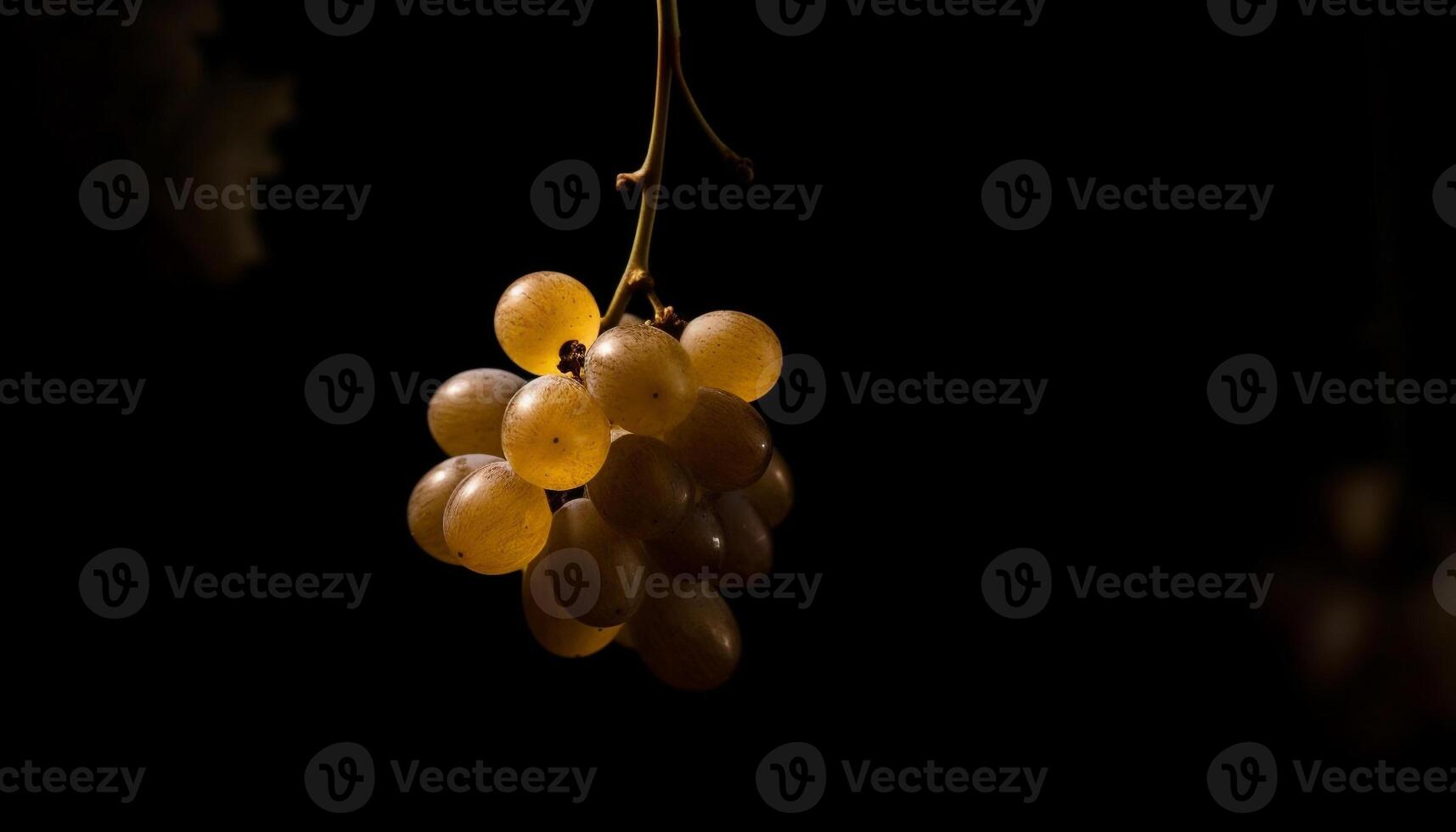 Juicy grape bunch hanging from leafy vine in autumn harvest generated by AI photo