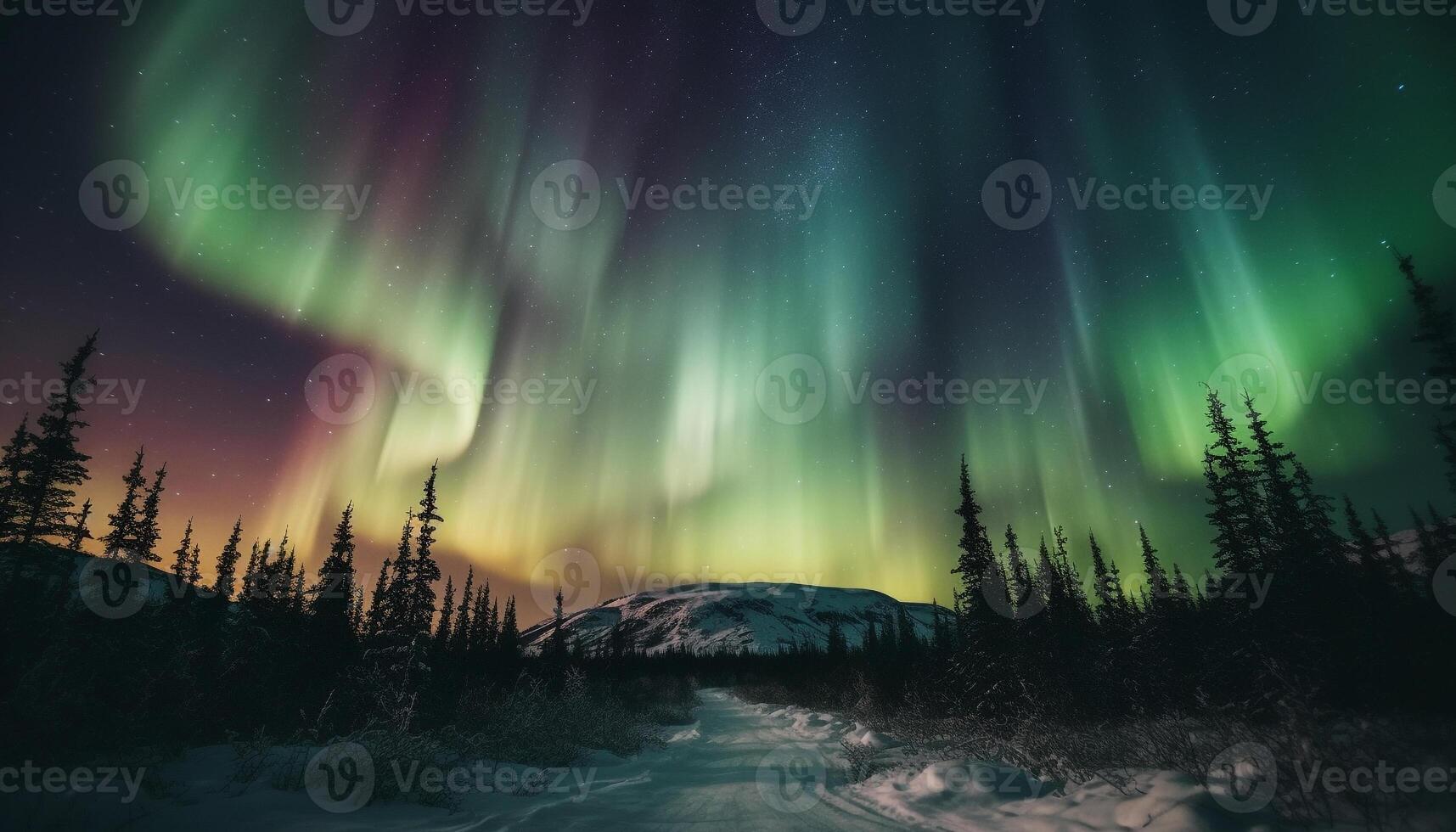 Silhouette of pine tree illuminated by star trail in arctic generated by AI photo