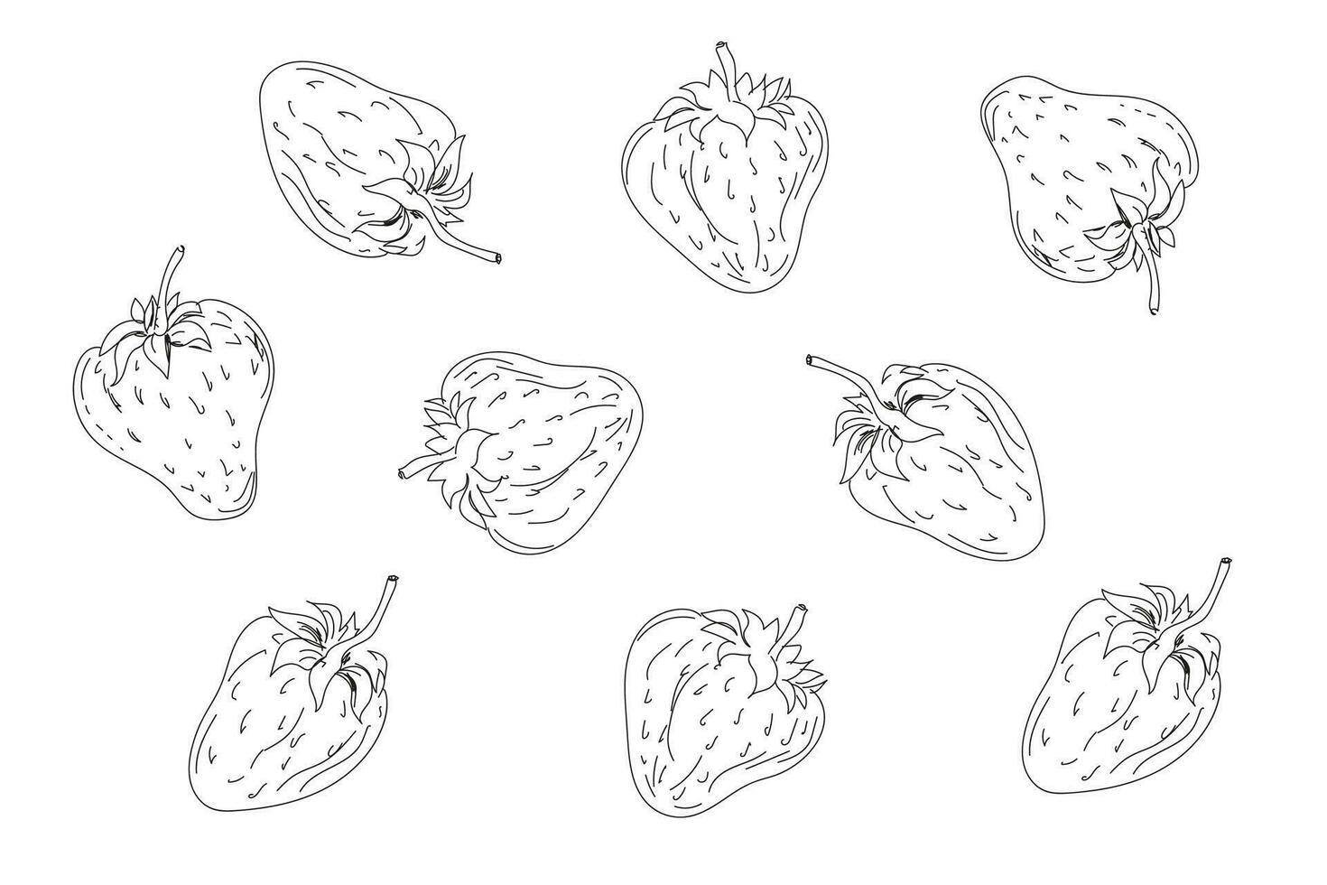 Strawberries set. Diet organic products. Different berries in sketch style for coloring book. vector