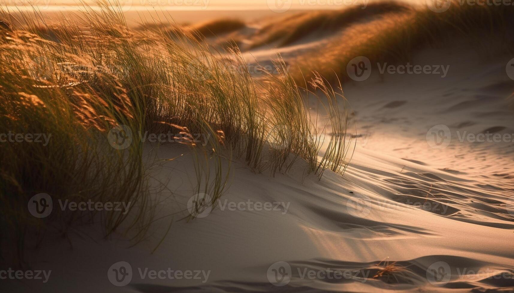 Golden sand dune ripples in tranquil sunset generated by AI photo