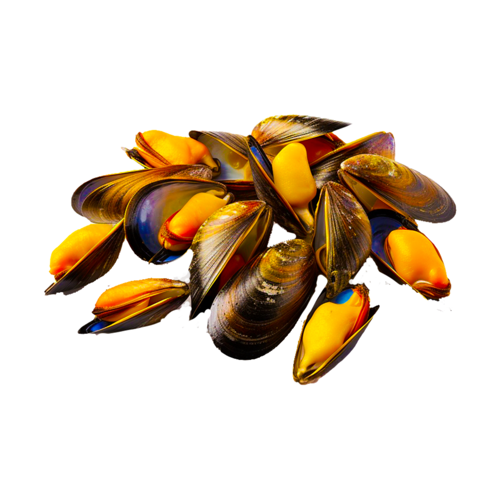 Blue Mussel generative ai png